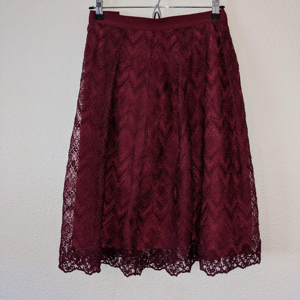 Plus Size Lacy Skirt 2X